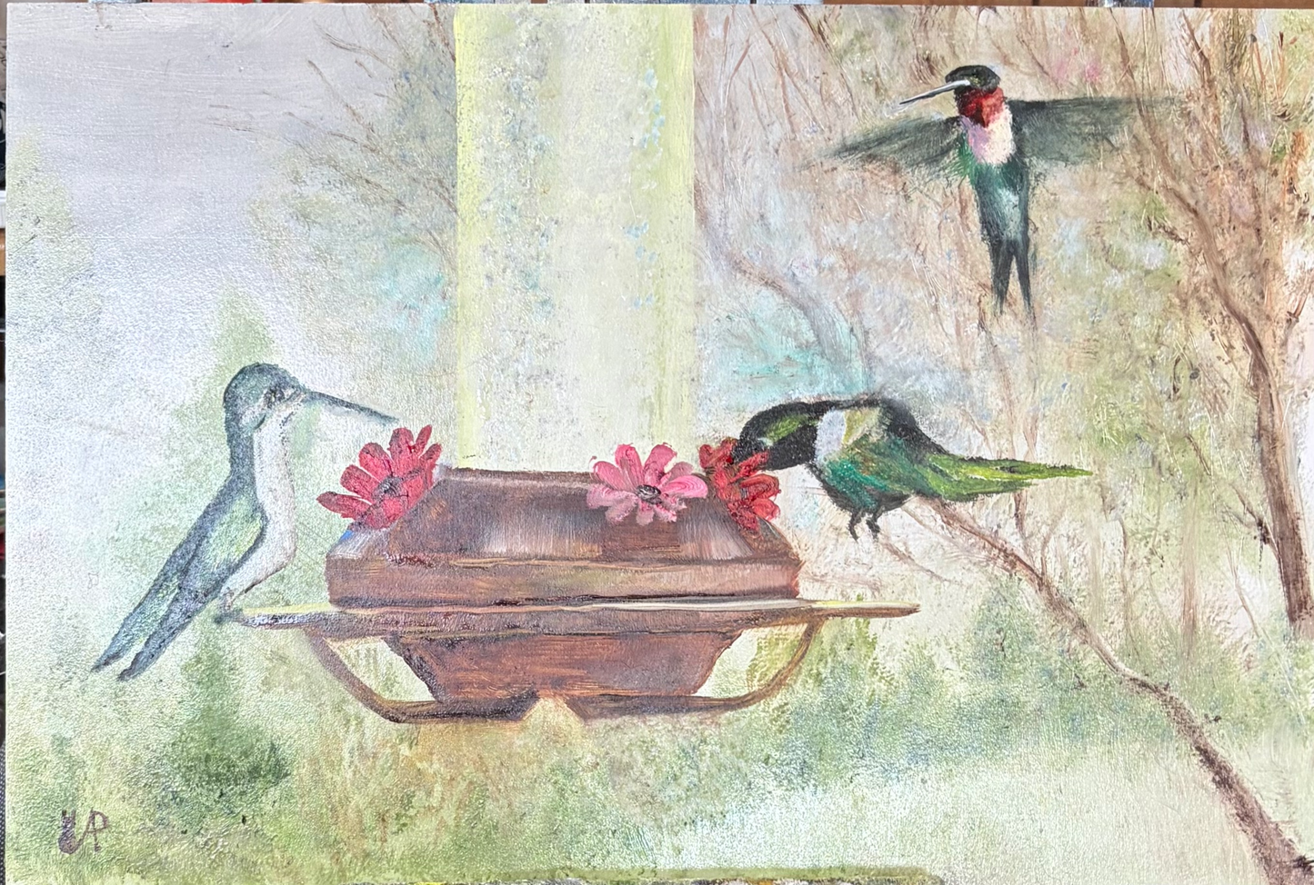 Hummingbirds