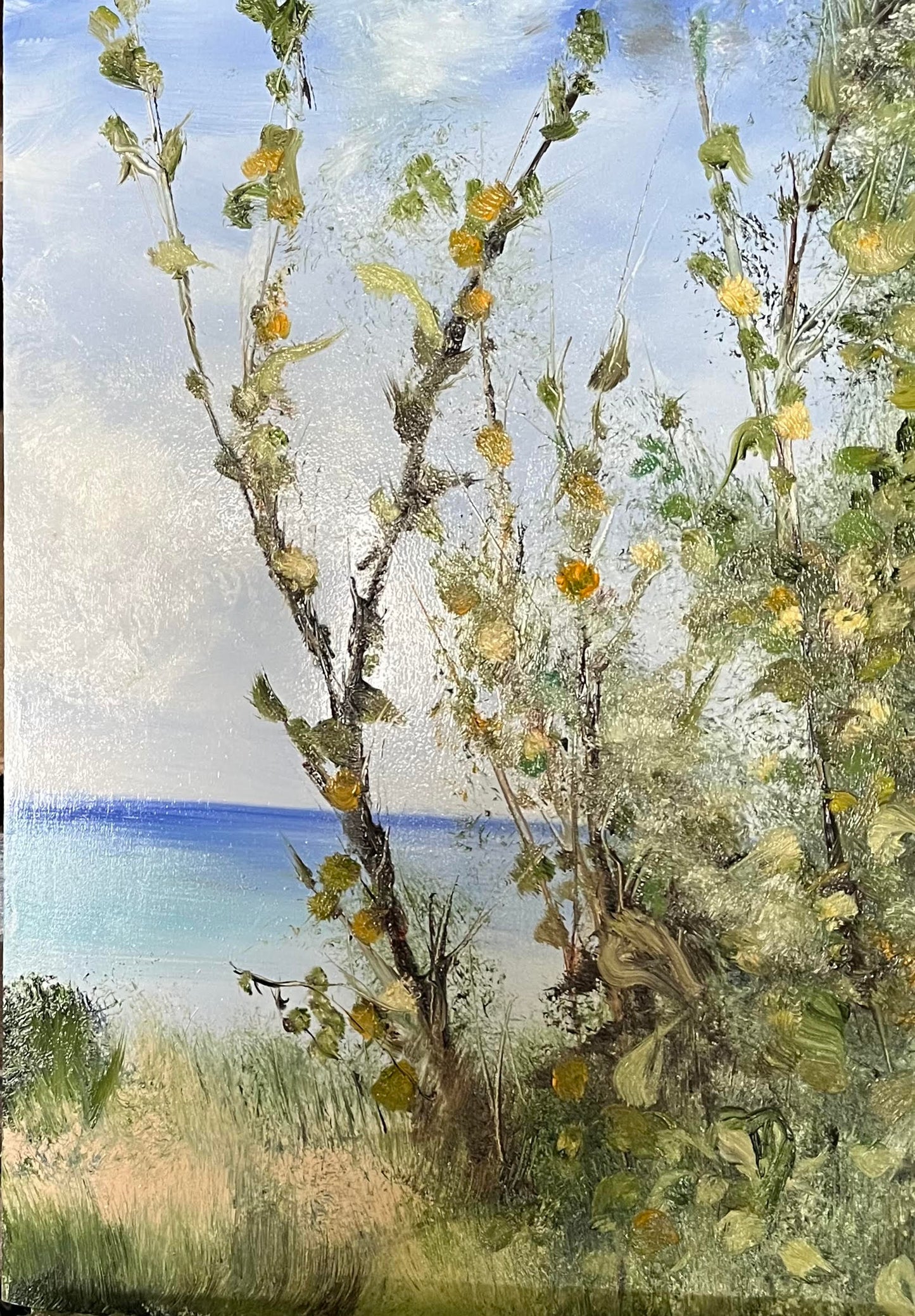 One Day in the Tropics