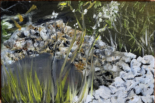 Garden of a Friend - an Impression